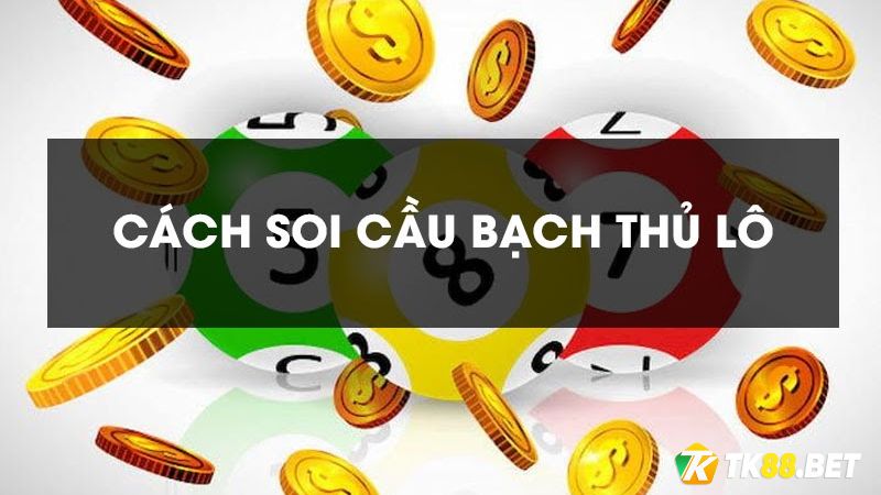 soi bạch thủ lô