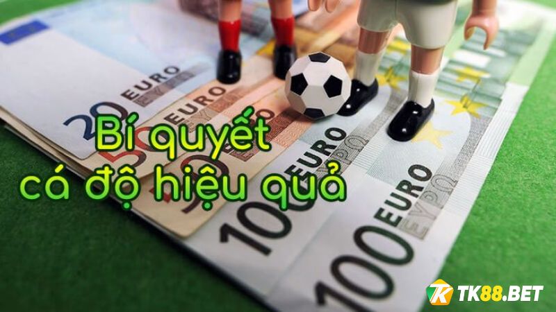 kinh nghiệm kiếm tiền từ game cá cược thể thao